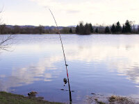 Delphin DANGER CatFish 285cm 350g 2Teile