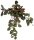 Repto Plant Hanging Red Back 46cm