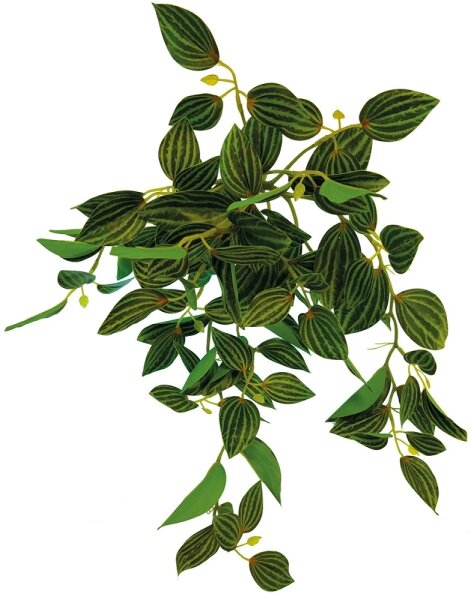 Repto Plant Hanging Green 46cm