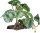 Repto Plant On Deco Begonia 159 x 179 x 200mm