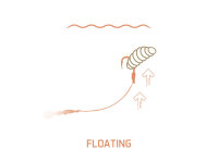 Delphin CorneX Pop Up Garnele