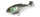 Molix HYBRID SWIMMER 165 16,5cm 70g
