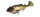 Molix HYBRID SWIMMER 165 16,5cm 70g