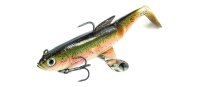 Molix SHAD 100 10cm 24g