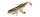 Molix SHAD 100 10cm 24g