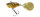 Molix Trago Spin Tail  2,5cm 10,5g