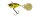 Molix Trago Spin Tail  2,5cm 10,5g