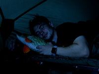 Delphin Plüschhecht PIKY