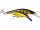 Westin Platypus Crankbait 16cm 56g