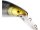 Westin Platypus Crankbait 16cm 56g