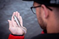 Fox Rage Pro Grub Loaded