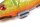 Fox Rage Pro Grub Loaded