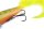 Fox Rage Pro Grub Loaded
