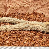 JBL TerraBark S - Bodensubstrat für Wald- und Regenwaldterrarien