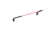 Delphin FEEDERA + 2 Spitzen 300cm/100g/3 Teile