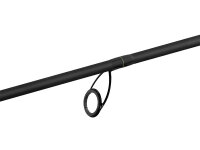 Delphin FEEDERA + 2 Spitzen 300cm/100g/3 Teile