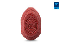 Delphin Method QUIX Form L