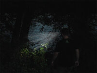 Delphin LUMIS Stirnlampe 3W 1000mAh