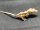 Kronengecko Correlophus ciliatus 1.0 NZ 2026