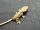Kronengecko Correlophus ciliatus 1.0 NZ 2026