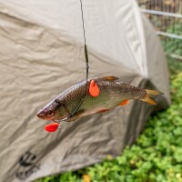 Zeck Single Hook & Treble Rig #6