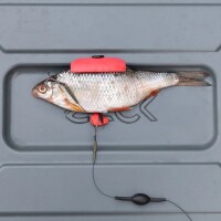 Zeck Single Hook & Treble Rig #6