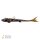 Zeck ZANDER Pelagi | 20 cm | 60 g Nachtschatten Not UV Active