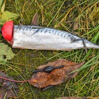 Zeck Float Weight 7.5g / 3 Stk