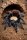 Brachypelma albiceps (Mexikanische Goldrücken-Vogelspinne)