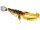 Westin Chebu Rig Crecraw RN R 6,5cm #3 10,5g Dark Water Mix