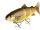 Westin Tommy the Trout Inline 30cm 330g Slow Sinking