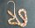 Pantherophis guttatus - Kornnatter 1.0 NZ2026 Albino