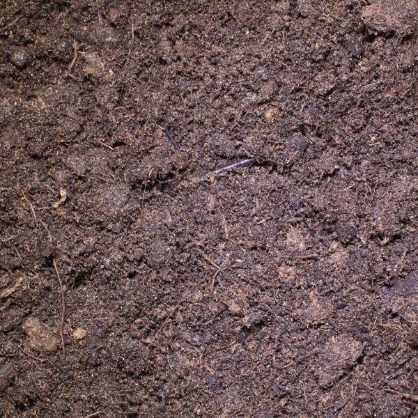 Lucky Reptile Tortoise Bedding – Bodensubstrat für Landschildkröten