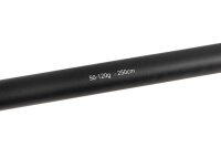 Fox Rage Warrior Pike Spin 50-120g 250cm 2Teile