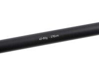 Fox Rage Warrior Heavy Spin 40-80g  2 Teile