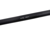 Fox Rage Warrior Heavy Spin 40-80g  2 Teile