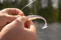 Fox Rage Scent Shad Bulk 9cm