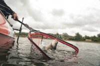 Fox Rage Scent Shad Bulk 9cm