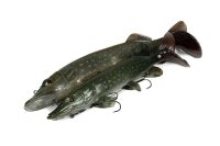 Fox Rage Ultra Natural Pike Replicant