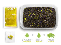 Delphin Reaxe READY & GO - Pellet Box Mais Ananas