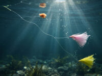 Delphin FLY Set künstl Fliegen 10 Stk Pond trout