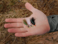 Delphin FLY Set künstl.Fliegen 10 Stk Wild trout