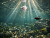 Delphin FLY Set künstl.Fliegen 10 Stk Wild trout