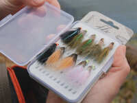 Delphin FLY Set künstl.Fliegen 10 Stk Wild trout