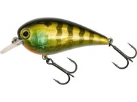 Westin Gift Box Luc Coppens Favorites 4Stk