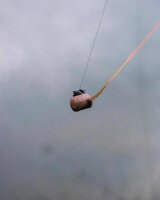 Fox Captive back weight