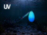 Delphin ARCH Spinner