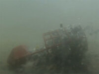 Delphin Futterkorb LongShot+ M