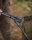 Fox Lever-lok Landing Net 42`` 8ft 2 Teile