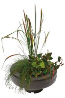 SuperFish Schwimmender Pflanzenkorb D30cm